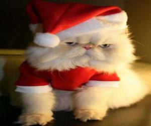 yapboz kedi yavrusu Noel Baba kılığında